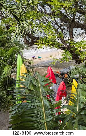 View of two children playing in the sand on the beach with colorful kayaks in the foreground; Lahaina, Maui, Hawaii, United States of America View Large Photo Image Stock Image - View of two children playing in the sand on the beach with colorful kayaks in the foreground; Lahaina, Maui, Hawaii, United States of America. Fotosearch