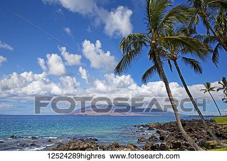 View of West Maui Mountains from Wailea; Wailea, Maui, Hawaii, United States of America View Large Photo Image Stock Photograph - View of West Maui Mountains from Wailea; Wailea, Maui, Hawaii, United States of America. Fotosearch