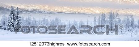 Stock Photograph - Warm afternoon sunlight bathes the distant mountains in-between low clouds obscuring the hillside, hoar frost covered birch trees lining the shaded foreground, Turnagain Pass, Kenai Peninsula, South-central Alaska; Alaska, United States of America. Fotosearch