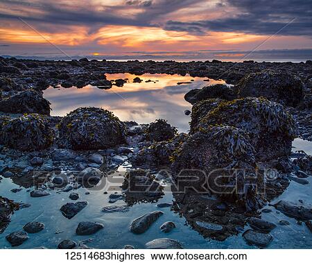 Stock Photograph - Warm colours from a sunset sky reflect in the tide pools on Acadia Beach; Vancouver, British Columbia, Canada. Fotosearch