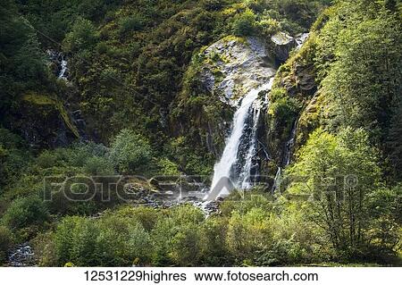 Waterfall in the Great Bear Rainforest; Hartley Bay, British Columbia, Canada View Large Photo Image Stock Photograph - Waterfall in the Great Bear Rainforest; Hartley Bay, British Columbia, Canada. Fotosearch