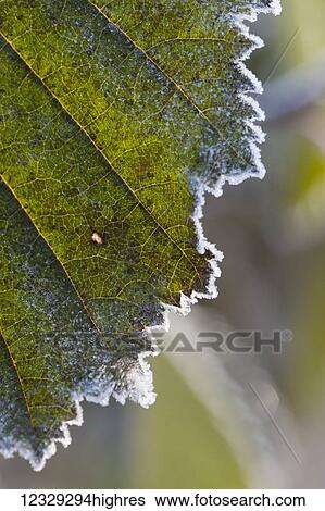 Stock Photograph - Weather. Fotosearch