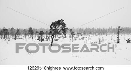 Stock Photograph - Weather. Fotosearch
