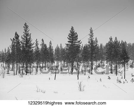 Weather View Large Photo Image Stock Photograph - Weather. Fotosearch