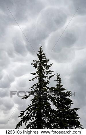 Stock Photograph - Weather. Fotosearch