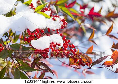 Weather View Large Photo Image Stock Photograph - Weather. Fotosearch