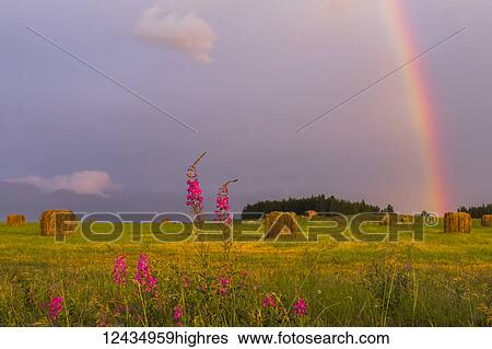 Stock Photograph - Weather. Fotosearch