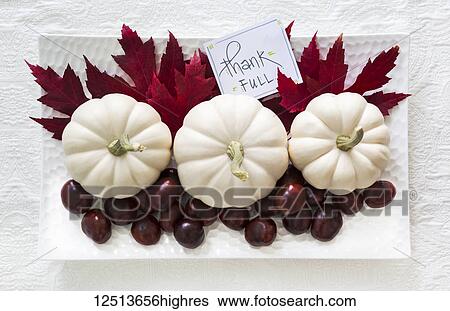White mini pumkins with a collection of red maple leaves and freshly harvested chestnuts on white fabric and a sign saying Thank Full View Large Photo Image Stock Photograph - White mini pumkins with a collection of red maple leaves and freshly harvested chestnuts on white fabric and a sign saying Thank Full. Fotosearch