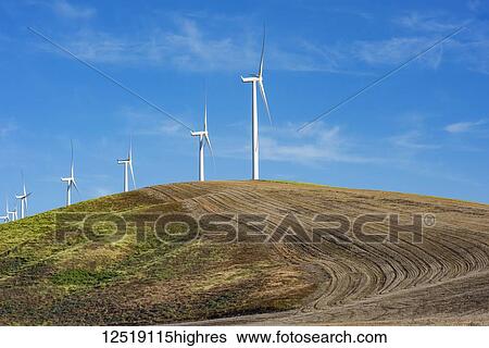 Stock Photograph - Wind farm wind turbines on a farmer's ploughed field combining green energy with agriculture, Eastern Washington; Dayton, Washington, United States of America. Fotosearch