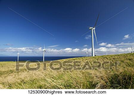 Stock Photograph - Wind turbines on a wind farm, Upolu Point, North Kohala; Island of Hawaii, Hawaii, United States of America. Fotosearch