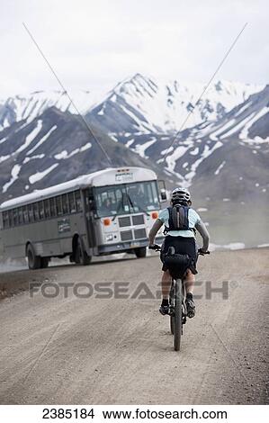 Woman cycling Polychrome Pass during midnight sunset, Denali National Park, Alaska View Large Photo Image Picture - Woman cycling Polychrome Pass during midnight sunset, Denali National Park, Alaska. Fotosearch