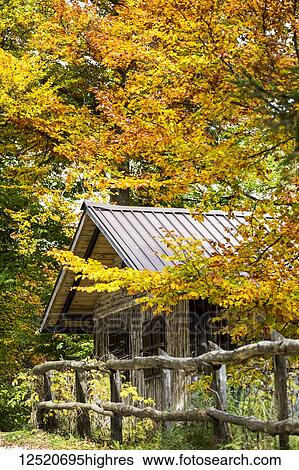 Wooden barn and fence in autumn coloured forest; Caldaro, Bolzano, Italy View Large Photo Image Stock Photograph - Wooden barn and fence in autumn coloured forest; Caldaro, Bolzano, Italy. Fotosearch