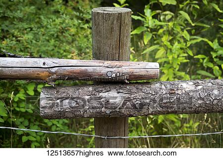 Stock Photograph - Wooden rails on a wood fence post and a wire running underneath; British Columbia, Canada. Fotosearch