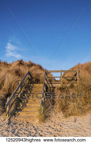 Wooden steps leading into the dunes from the beach in warm sunlight at sunrise; Northumberland, England View Large Photo Image Stock Photograph - Wooden steps leading into the dunes from the beach in warm sunlight at sunrise; Northumberland, England. Fotosearch