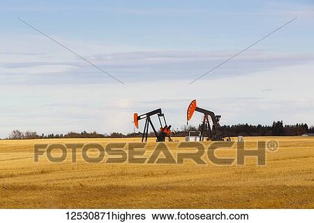 Stock Photograph - Working pumpjacks in the middle of a golden wheat field, post harvest; Edmonton, Alberta, Canada. Fotosearch