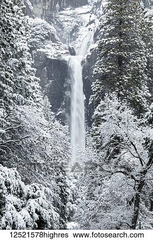Stock Photograph - Yosemite Falls with snow in winter, Yosemite Valley, Yosemite National Park; California, United States of America. Fotosearch