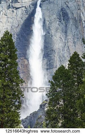 Stock Photograph - Yosemite Falls, Yosemite National Park; California, United States of America. Fotosearch