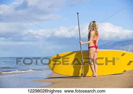 Young Attractive Woman On Stand Up Paddle Board, Sup, In The Blue Waters Off Hawaii View Large Photo Image Stock Photograph - Young Attractive Woman On Stand Up Paddle Board, Sup, In The Blue Waters Off Hawaii. Fotosearch