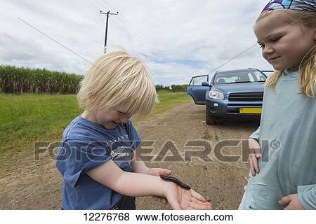 Young boy being tickled with Giant African Millipede (Archispirostreptus gigas) crawling on his arm; Malawi View Large Photo Image Stock Photo - Young boy being tickled with Giant African Millipede (Archispirostreptus gigas) crawling on his arm; Malawi. Fotosearch