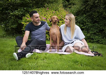 Stock Photograph - Young couple sitting on a blanket on the grass with their Vizsla dog; Reigate, Surrey, England. Fotosearch