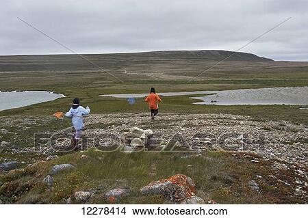 Picture - Young girls with butterfly nets playing on the tundra, with Mount Pelly in the background, Ovayok Territorial Park, near Cambridge Bay; Nunavut, Canada. Fotosearch