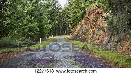 Stock Photo - A back road with lush trees; Mayne Island, British Columbia, Canada. Fotosearch