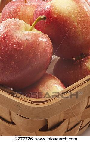 Apples with water droplets in a basket; Edmonton, Alberta, Canada View Large Photo Image Stock Photograph - Apples with water droplets in a basket; Edmonton, Alberta, Canada. Fotosearch