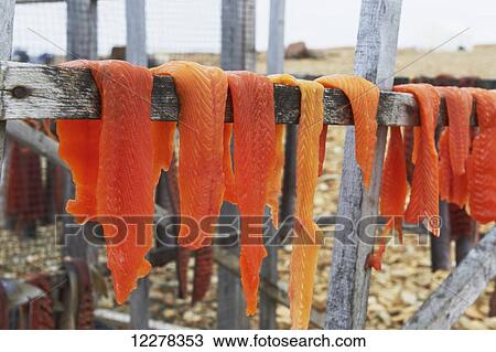 Stock Image - Arctic Char filets on drying racks, Arctic Ocean, near Cambridge Bay; Nunavut, Canada. Fotosearch