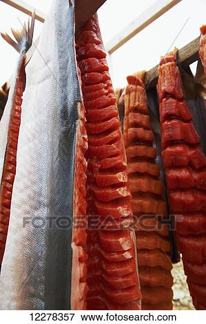 Stock Photo - Arctic Char filets on drying racks, Arctic Ocean, near Cambridge Bay; Nunavut, Canada. Fotosearch