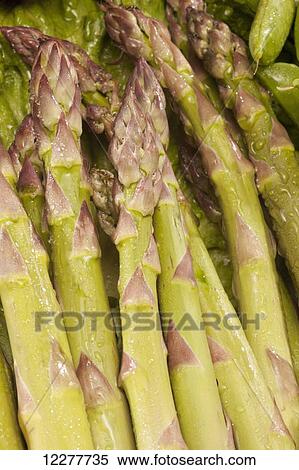 Asparagus; Edmonton, Alberta, Canada View Large Photo Image Stock Photography - Asparagus; Edmonton, Alberta, Canada. Fotosearch
