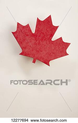 Picture - Canadian red maple leaf; Edmonton, Alberta, Canada. Fotosearch