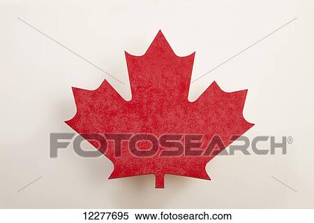 Stock Photography - Canadian red maple leaf; Edmonton, Alberta, Canada. Fotosearch