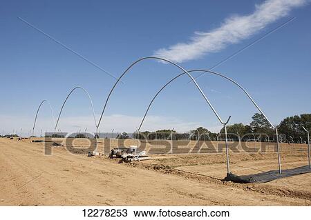 Commercial greenhouses in early construction; Lancaster, Pennsylvania, United States of America View Large Photo Image Stock Image - Commercial greenhouses in early construction; Lancaster, Pennsylvania, United States of America. Fotosearch