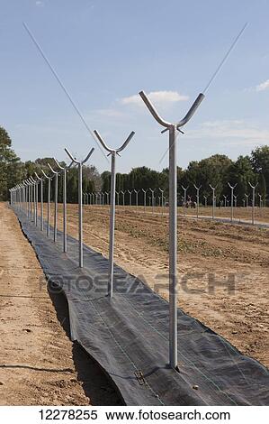 Stock Photography - Commercial greenhouses in early construction; Lancaster, Pennsylvania, United States of America. Fotosearch