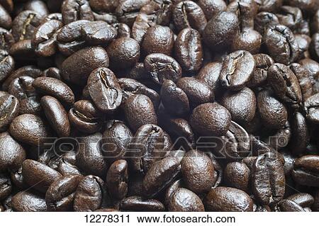 Costa Rican coffee beans View Large Photo Image Stock Image - Costa Rican coffee beans. Fotosearch