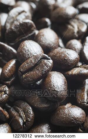 Costa Rican coffee beans View Large Photo Image Stock Image - Costa Rican coffee beans. Fotosearch