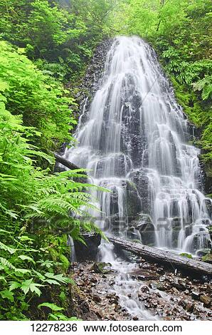 Stock Photograph - Fairy Falls in the Columbia River Gorge; Oregon, United States of America. Fotosearch