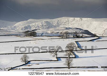 Farmland and mountains covered in snow, near Shap; Cumbria, England View Large Photo Image Stock Photo - Farmland and mountains covered in snow, near Shap; Cumbria, England. Fotosearch