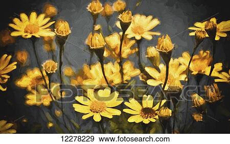 Stock Photo - Field of yellow daisies; Honolulu, Oahu, Hawaii, United States of America. Fotosearch