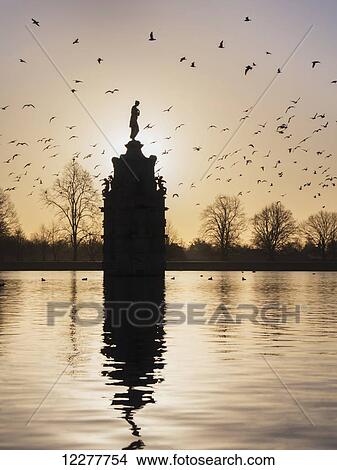 Picture - Flock of birds over Diana Fountain in Bushy Park at sunset; London, England. Fotosearch