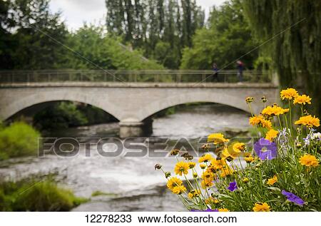 Stock Image - Flowers in foreground, with people walking across a bridge in the background; Limoges, France. Fotosearch