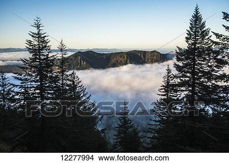Fog fills the valleys below at dawn on Saddle Mountain; Hamlet, Oregon, United States of America View Large Photo Image Picture - Fog fills the valleys below at dawn on Saddle Mountain; Hamlet, Oregon, United States of America. Fotosearch
