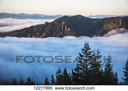 Fog fills the valleys below at dawn on Saddle Mountain; Hamlet, Oregon, United States of America View Large Photo Image Stock Photography - Fog fills the valleys below at dawn on Saddle Mountain; Hamlet, Oregon, United States of America. Fotosearch