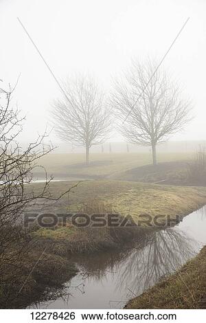 Foggy winter landscape with reflections of trees in creek; British Columbia, Canada View Large Photo Image Stock Photograph - Foggy winter landscape with reflections of trees in creek; British Columbia, Canada. Fotosearch