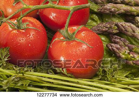 Fresh vegetables; Edmonton, Alberta, Canada View Large Photo Image Picture - Fresh vegetables; Edmonton, Alberta, Canada. Fotosearch