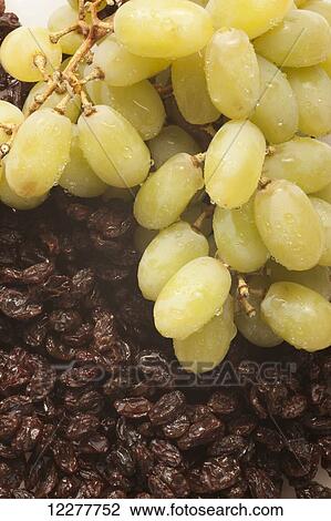 Grapes and raisins; Edmonton, Alberta, Canada View Large Photo Image Stock Image - Grapes and raisins; Edmonton, Alberta, Canada. Fotosearch