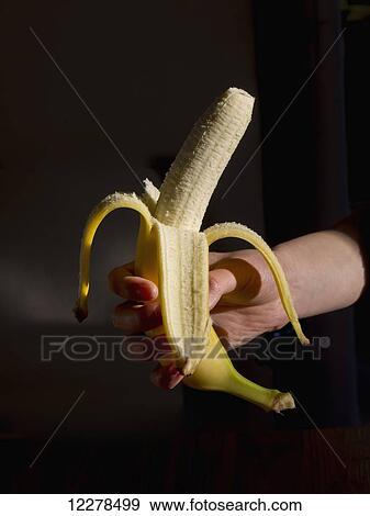 Hand holding a peeled banana; England View Large Photo Image Stock Photo - Hand holding a peeled banana; England. Fotosearch