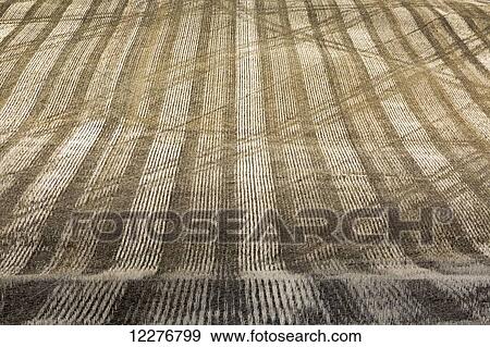 Stock Photo - Harvest stubble lines on a hilly field; Alberta, Canada. Fotosearch