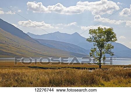 Picture - Head of Glen Etive; Scotland. Fotosearch