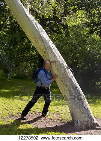 Man holds up leaning tree; England View Large Photo Image Stock Image - Man holds up leaning tree; England. Fotosearch